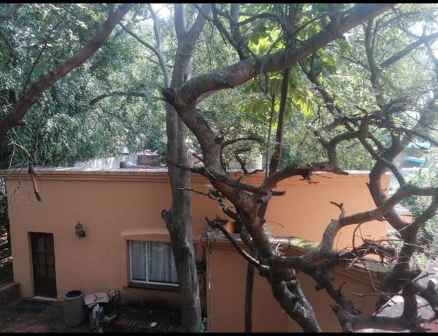 4 BEDROOM HOUSE FOR SALE IN FLORAUNA